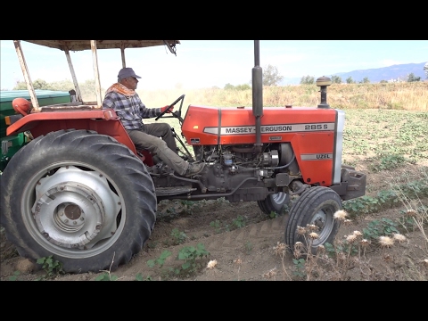 Gariban Çiftçinin Dostu Massey Ferguson 285 S