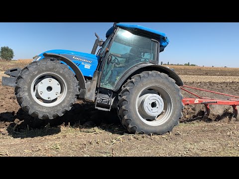 SİLAJ YAPILMIŞ BETON GİBİ MISIR YERİ SÜRÜMÜ LANDİNİ 5 090H