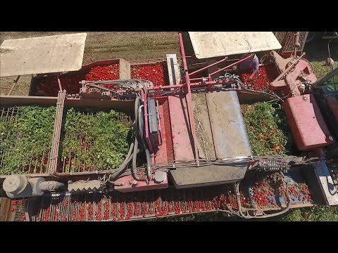 Türkiye de bu işler artık böyle yapılıyor