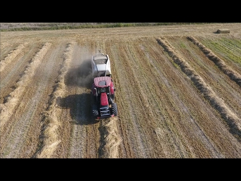 Büyük balya makinesi Claas Quadrant 3200 Case IH 175 Puma
