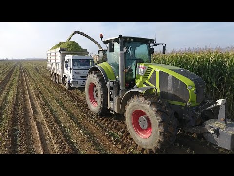 Batan Kamyonları Çekmek Onun İşi
