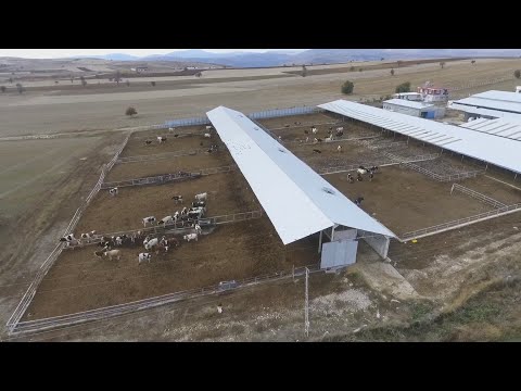 Uygun Fiyata Satılık Çiftlik