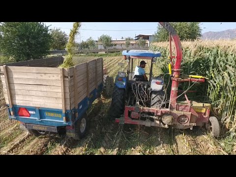 Sıra bağımsız silaj makinesi için 75 hp Traktör yeterli