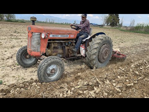 ÇOK AZ GÖRÜLEN MODEL 58 BEYGİR MASSEY FERGUSON