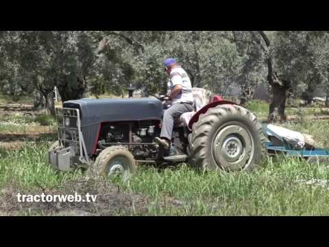 Massey Ferguson 240