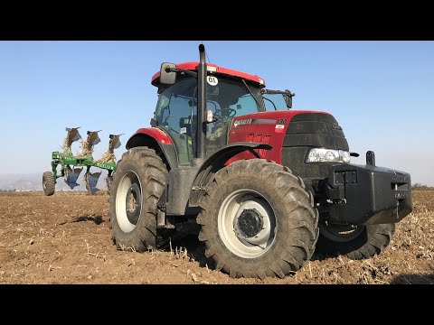 131 Beygir Case IH 130 Puma