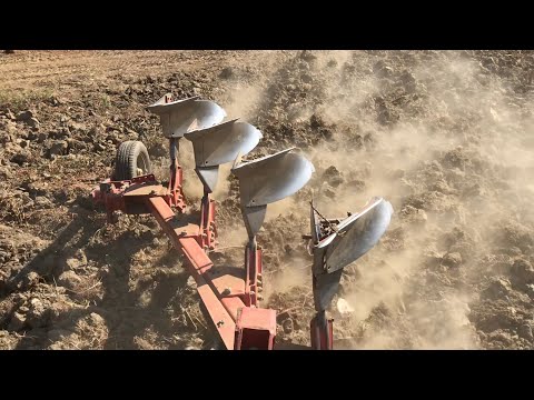 Ag ac lar Ko klendikten Sonra I lk Su ru m
