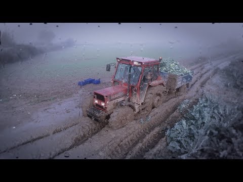 Tümosan Varsa Sorun Yoktur
