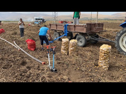 PATATES YÜKLEMEDE TEKNOLOJİ KULLANIYORUZ