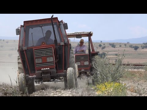 Yaşayan Efsaneler 2x Fiat 70 56