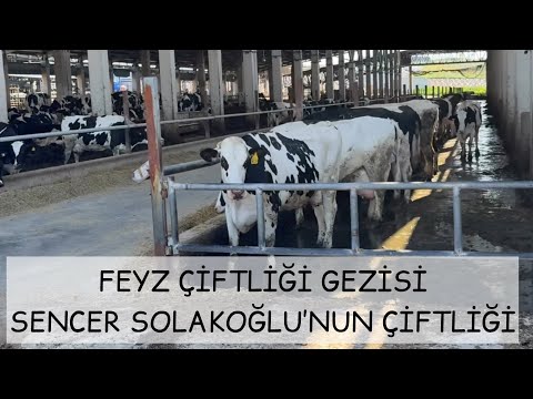 ÇİFTLİK GEZİSİ Sencer SOLAKOĞLU FEYZ ÇİFTLİĞİ