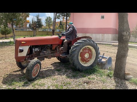 1979 MODEL İNTERNATİONAL 444