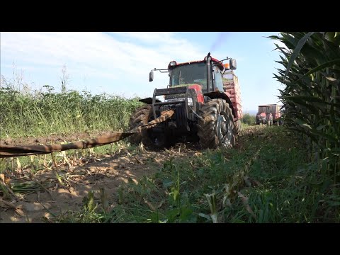 Ben böyle şöför görmedim Case IH JX110
