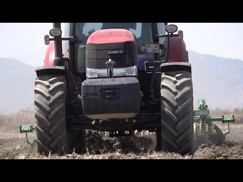 Case IH Magnum 240 Çekirge