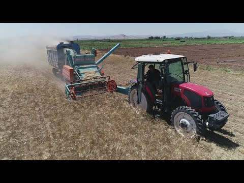 300 DÖNÜME KADAR BUĞDAY EKENLER İÇİN YETERLİ