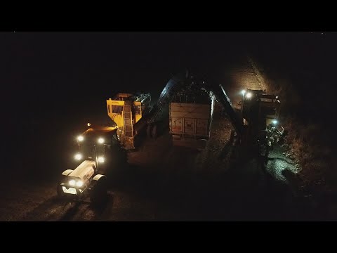Gece Pancar Hasadı