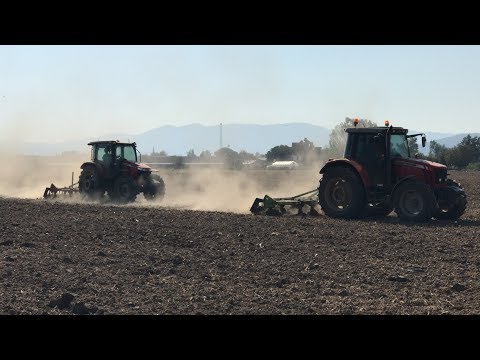 Massey Ferguson 5455 5711