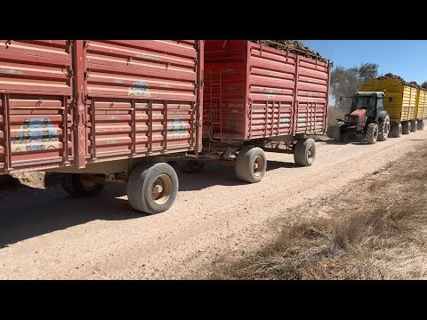 YARDIM ALMADAN 4 RÖMORK BİRLEŞTİRME TAKTİĞİ