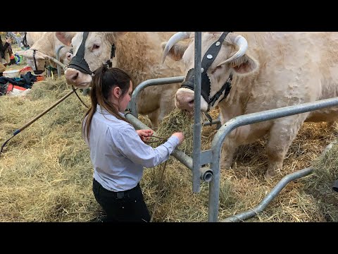 TÜRKİYE FUARLARINDA NEDEN BÖYLE YARIŞMALAR YAPILMIYOR