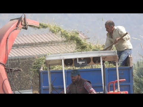 Sanıyorlarki Çiftçi Yattığı Yerden Para Kazanıyor