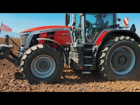 305 BG lik Canavar Massey Ferguson 8S 305 ile Tarlada Zafer