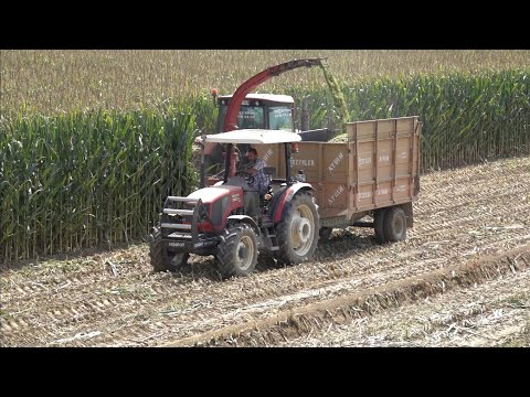 Mısır Silajı 2017 McCormick Erkunt Çel Mak