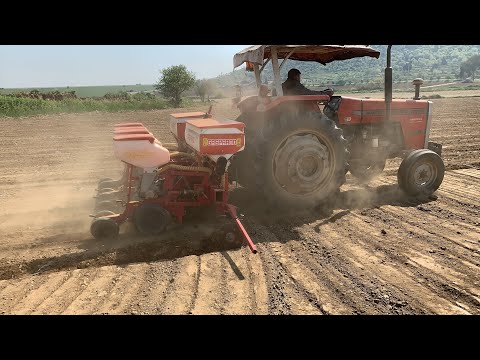 GASPARDO HAVALI MİBZER FASULYE EKİMİ