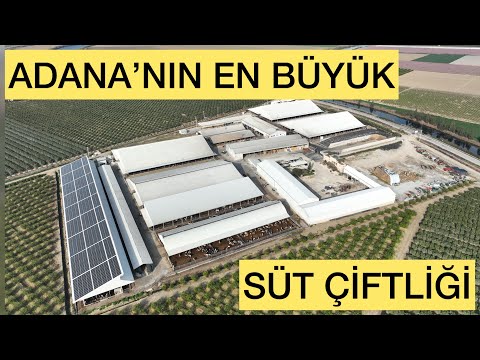 ADANANIN EN BÜYÜK SÜT ÇİFTLİĞİ