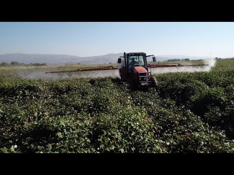 Pamuk İlaçlama Massey Ferguson 5455 Karaoğlu 1600 Tam