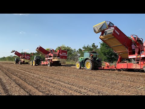 TÜRKİYE PATATES HASADINDA TEKNOLOJİYİ KULLANIYOR