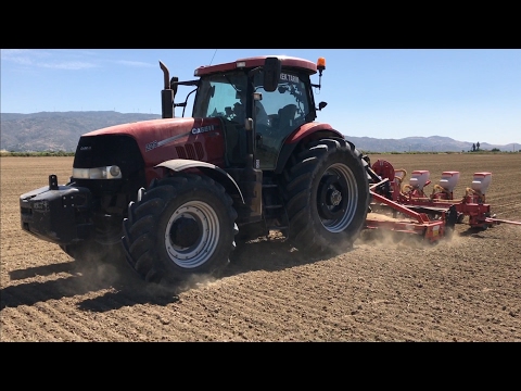 Case IH 225 Puma Kombine sistemle pamuk ekimi