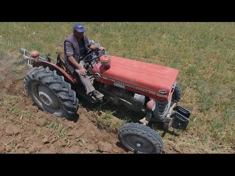 Massey Ferguson 135