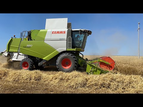 LARENDE ARPA HASADI DEKAR VERİMİ 700 KİLO