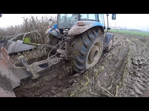 Kışın Ortasında Mısır Silajı Yapılır mı