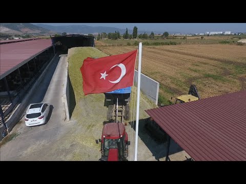 Silaj Depolama