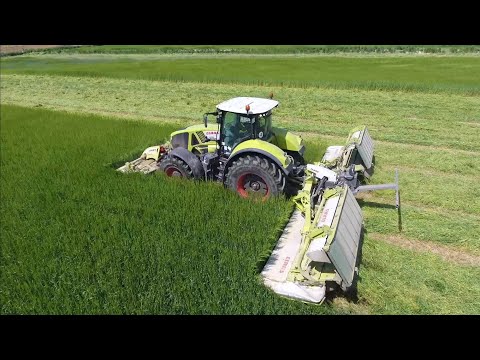 Yeşil Arpa Biçimi Claas 930 Axion