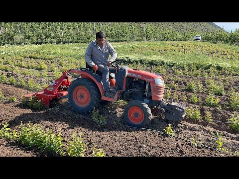 18 BEYGİR TRAKTÖR İÇİN EN KÜÇÜK ROTOVATÖR