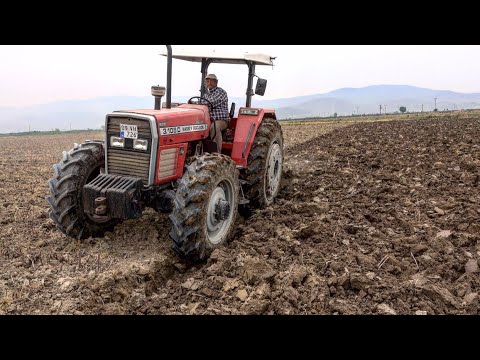 Ne Varsa Eskilerde Var Massey Ferguson 3 105D