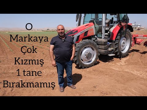 12 Traktörünü satıp 12 Massey Ferguson alan Urfalı çiftçi