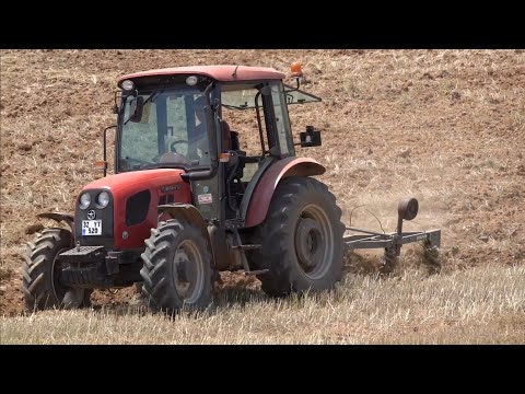Türk Boğası Tümosan 8175