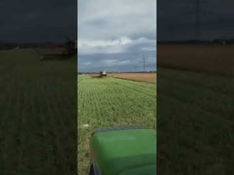 Class und Fendt und John Deere bei der Rapsernte