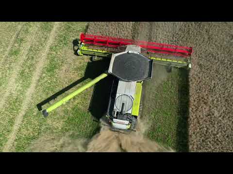 Ende der Rapsernte 2024 mit Claas Lexion 8900 und Fendt 728
