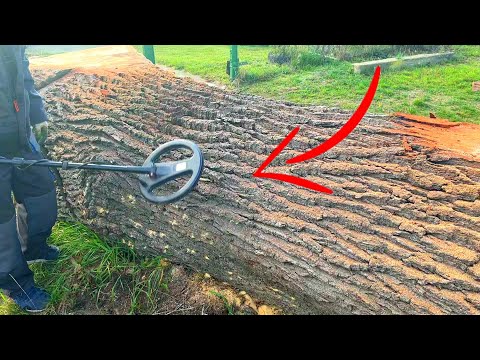 The metal detector goes off the charts before sawing a log