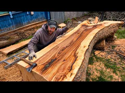Inside a Giant Mystical Ash Tree