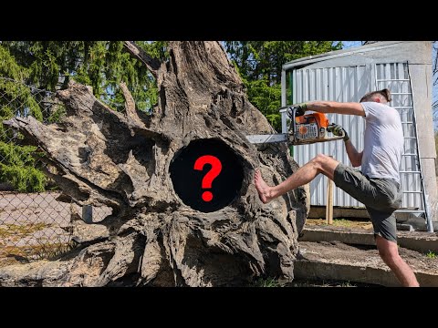 The Most Valuable Wood on Earth 5 000 Year Old Countertops