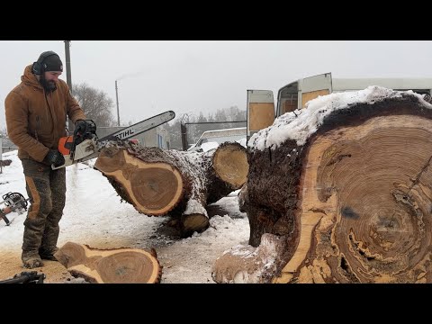 How so My all chainsaws is not cutting