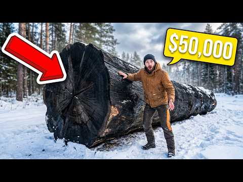Shocking find worth tens of thousands of dollars