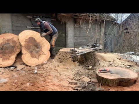 Пень ясеня с сюрпризом Как убрать пень