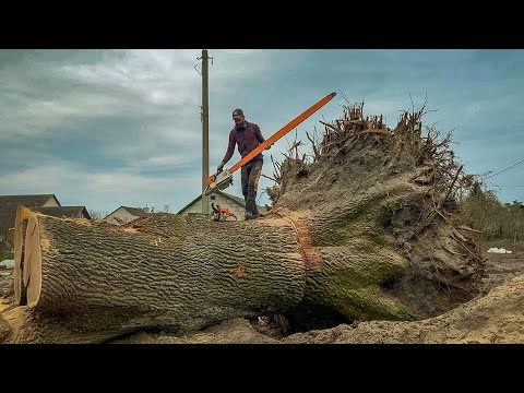 A year of woodworking in a couple of minutes