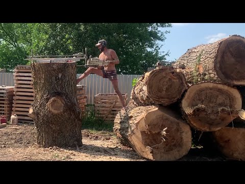 Slabs from Stalin s favorite tree in the USSR